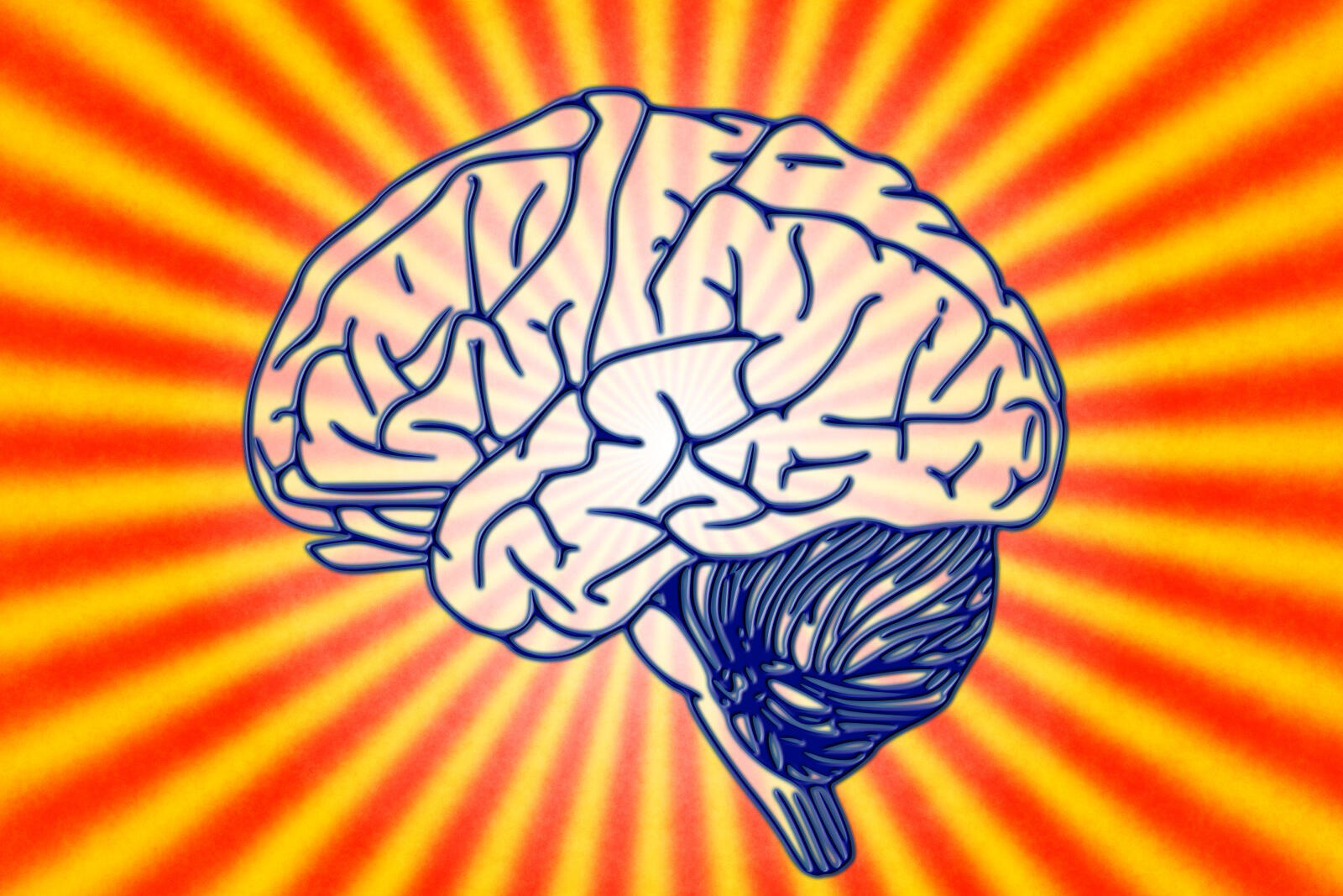 Abbildung einer Grafik eines Gehirns vor orange-gelbem Hintergrund.