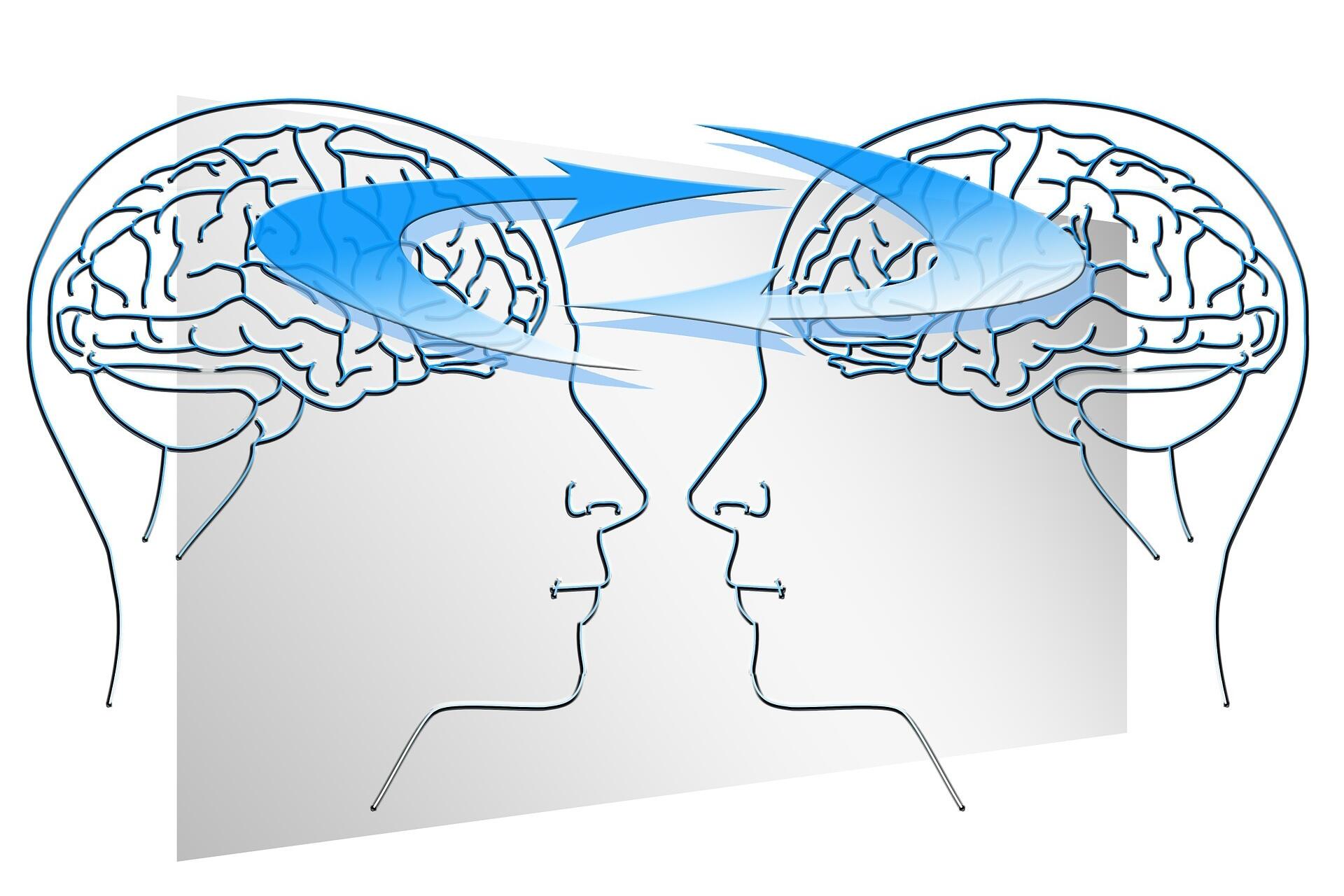 Grafische Darstellung von zwei Köpfen/Gehirnen, deren Ideen und Wissen gegenseitig ausgetauscht wird.
